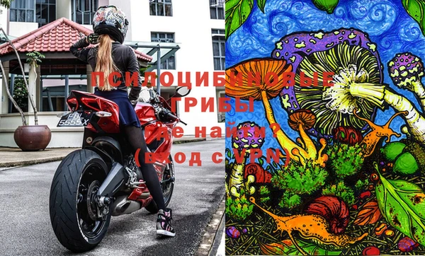 прущие крисы Алексеевка
