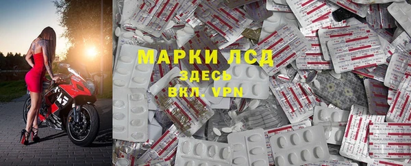 сатива Алзамай