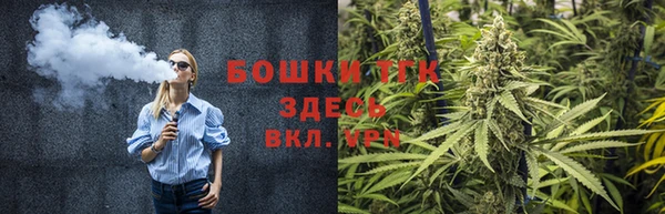 сатива Алзамай