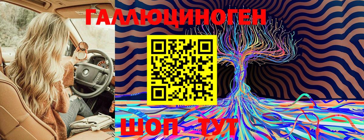 Мыски  Псилоцибиновые грибы Cubensis  Вход с VPN 